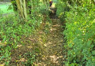 Randonnée Marche Onhaye - Sommières ADEPS - Photo