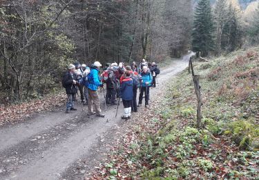 Excursión Senderismo Sewen - 2019.11.26.Seven - Photo