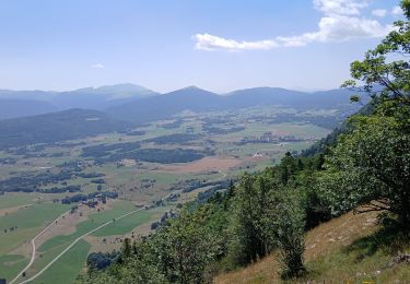 Tour Wandern La Chapelle-en-Vercors - serre plumé depuis carri par la bournette col de la baume grange de vauneyre col de la mure puis les cretes jusqu a pré bellet refuge de crobache lievre blanc scialet royer - Photo