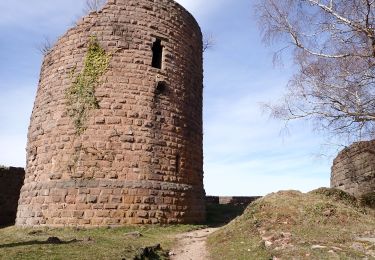 Tour Wandern Breitenau - 20230309_BREITENAU_rando_Breitenau_Le Rocher du Coucou - Le Château du Frankenbourg - Photo