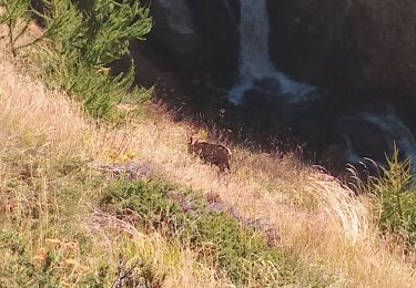 Tour Wandern Saint-Étienne-de-Tinée - Lac de Vens - Photo