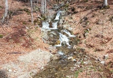 Trail Walking Saint-Sauveur-Camprieu - VALLEE DU BONHEUR (Court) - Photo