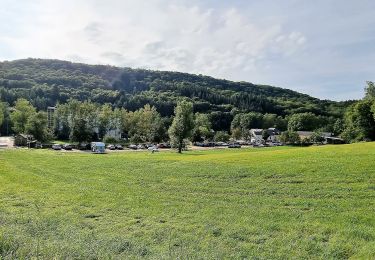 Tocht Te voet Waldbillig - W2 Hiking Tour - Photo