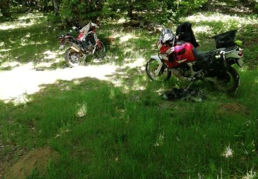 Excursión Motocross Réalmont - Randonnée de reconnaissance Vabre St Pons - Photo