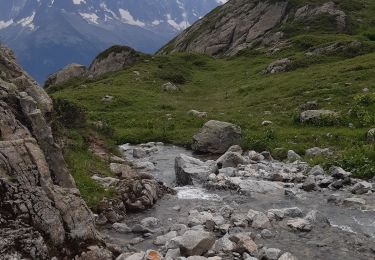 Trail Walking Chamonix-Mont-Blanc - lac blanc par les Montets retour par Argentiere - Photo