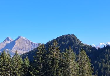 Trail Walking Glières-Val-de-Borne - GLIERES: TOUR DES FRETES - Photo