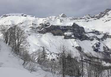 Tour Schneeschuhwandern Cordon - Cordon raquettes 23/01/24 - Photo