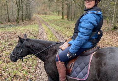 Tour Reiten Beauraing - SityTrail - Felenne 2018 J2 - Photo