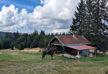 Excursión Paseo ecuestre Ottrott - 2024-09-03_17h19m14_suuntoapp-HorsebackRiding-2024-09-03T08-25-34Z-track - Photo