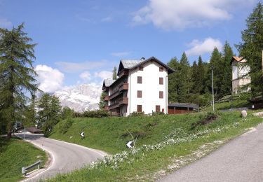 Tocht Te voet Cortina d'Ampezzo - Sentiero C.A.I. 212, Bivio sopra Mandres - Faloria - Strada Tre Croci - Photo