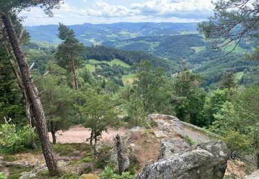 Tocht Stappen Aubure - Aubure  - Photo