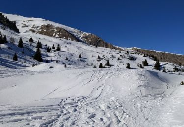 Tour Schneeschuhwandern Le Dévoluy - Super  - Photo