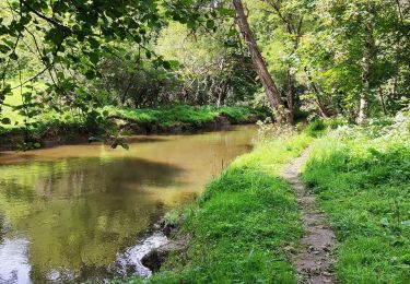 Trail Walking Houffalize - Promenade vers la roche plate - Photo