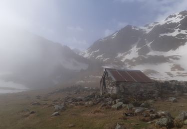 Trail Walking Ancizan - cabane du Pla des Gats - Photo