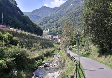 Percorso A piedi Selva di Progno - Giazza - Colonia estiva - nei pressi passo Zevola - inn. sent. 202 - Photo