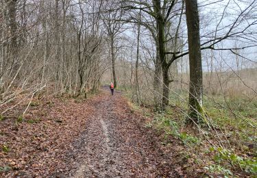 Randonnée Marche Anhée - Bioul 29,7 km - Photo