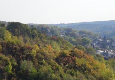 Randonnée Marche Namur - Balade dans les anciennes carrières d'Asty-Moulin - Photo