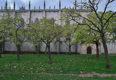 Excursión A pie Burgos - Paseos por el Cinturón Verde: Cartuja de Miraflores - Photo