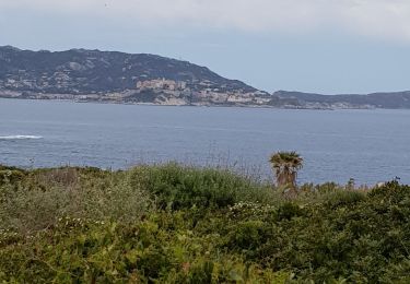 Randonnée Marche Algajola - Corse La Punto de Spano - Photo