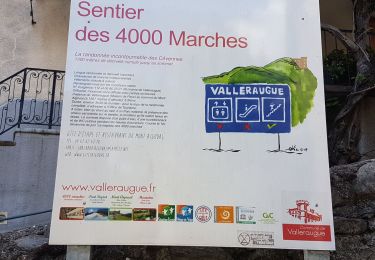 Trail Walking Val-d'Aigoual - Montée Aigoual et descente par Aire de Côte  - Photo