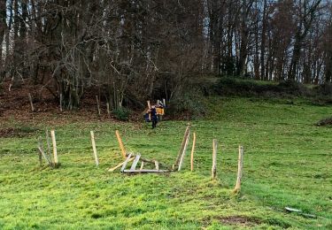 Tocht Stappen Fréland - Freland  - Photo