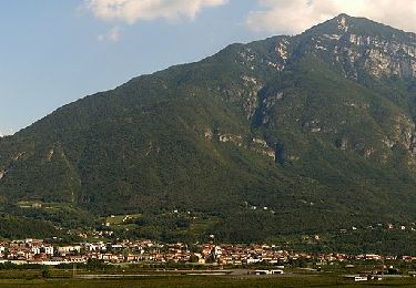 Tocht Te voet Trento - Senter del Guardadocio - Photo