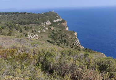 Tocht Stappen La Ciotat - Arche de la Ciotat  - Photo