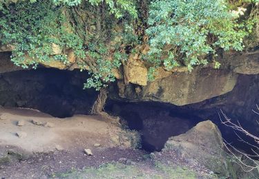 Tour Wandern Le Castellet - Signes le vallon du Martyre - Photo