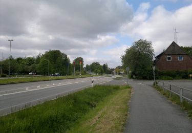 Tour Zu Fuß  - Rundwanderweg 4: Niehuuser See - Photo