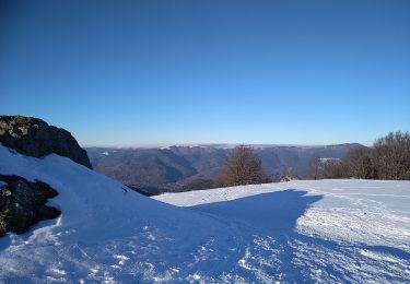 Tour Schneeschuhwandern Oberburbach - Sortie raquettes Hundsruck Belacker - Photo