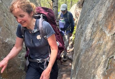 Tocht sport Le Vaudoué - 25. Bosse. - Photo