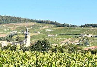 Tour Wandern Chénas - Chenas - Le Venet (2) - Photo