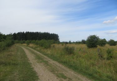 Trail On foot Harrislee - Rundweg 1, Stiftungsland Schäferhaus - Photo