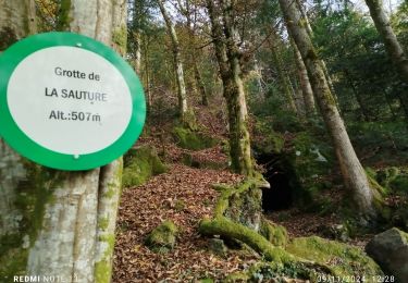 Tour Wandern Rupt-sur-Moselle - rando rupt  2 - Photo