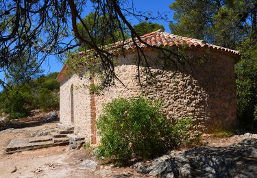 Trail Walking Brignoles - Brignoles - Rocher du Gueit - Chapelle St Sébastien - Photo