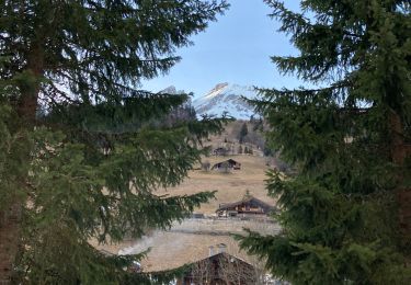 Tour Schneeschuhwandern Flumet - La tête du Torraz ( ballade 18) - Photo
