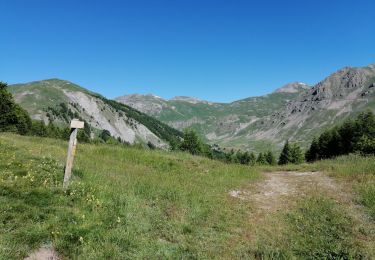 Trail Nordic walking Saint-Dalmas-le-Selvage - Crête de la Blanche  - Photo