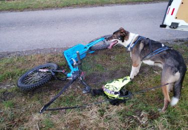 Tour Schlittenhunde Froidchapelle - trott Kazan Froidchapelle  - Photo