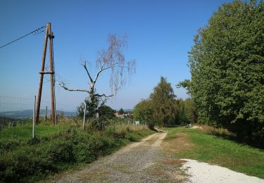 Trail On foot Leibnitz - Kaindorfer Genussplatzrunde - Photo