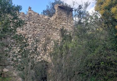 Tour Wandern Roquebrune-sur-Argens - Le Fournel - Photo