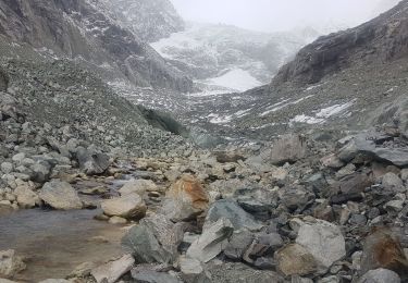 Randonnée Marche Evolène - glacier mont miné  - Photo