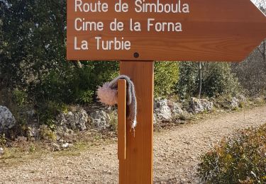 Tour Zu Fuß Èze - Fort  de la Revere  - Photo