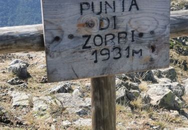 Trail Walking Vivario - Punta de l'oriente  - Photo