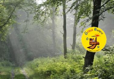 Tour Wandern Chaumontel - GP_COYE-la-FORET_18.7Km - Photo