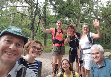 Trail Walking Le Vaudoué - Au pieds des 25 bosses  - Photo