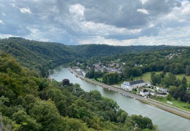 Trail Walking Hastière - GRP 125 : Les crêtes de la Meuse (Hastière) - Photo