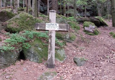 Trail Walking Dabo - Windsbourg Dabo - Photo
