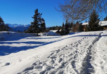 Tour Wandern Arbaz - route de Barra yes - Photo