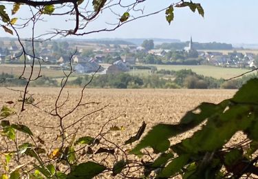 Tour Wandern Gerpinnes - Gerpinnes par GR129 - Hymiée - Tournibus - Photo