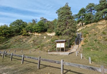 Randonnée Marche Chauffour-lès-Étréchy - Chauffour-lès-Etréchy - Coteau des Verts Galants - Photo